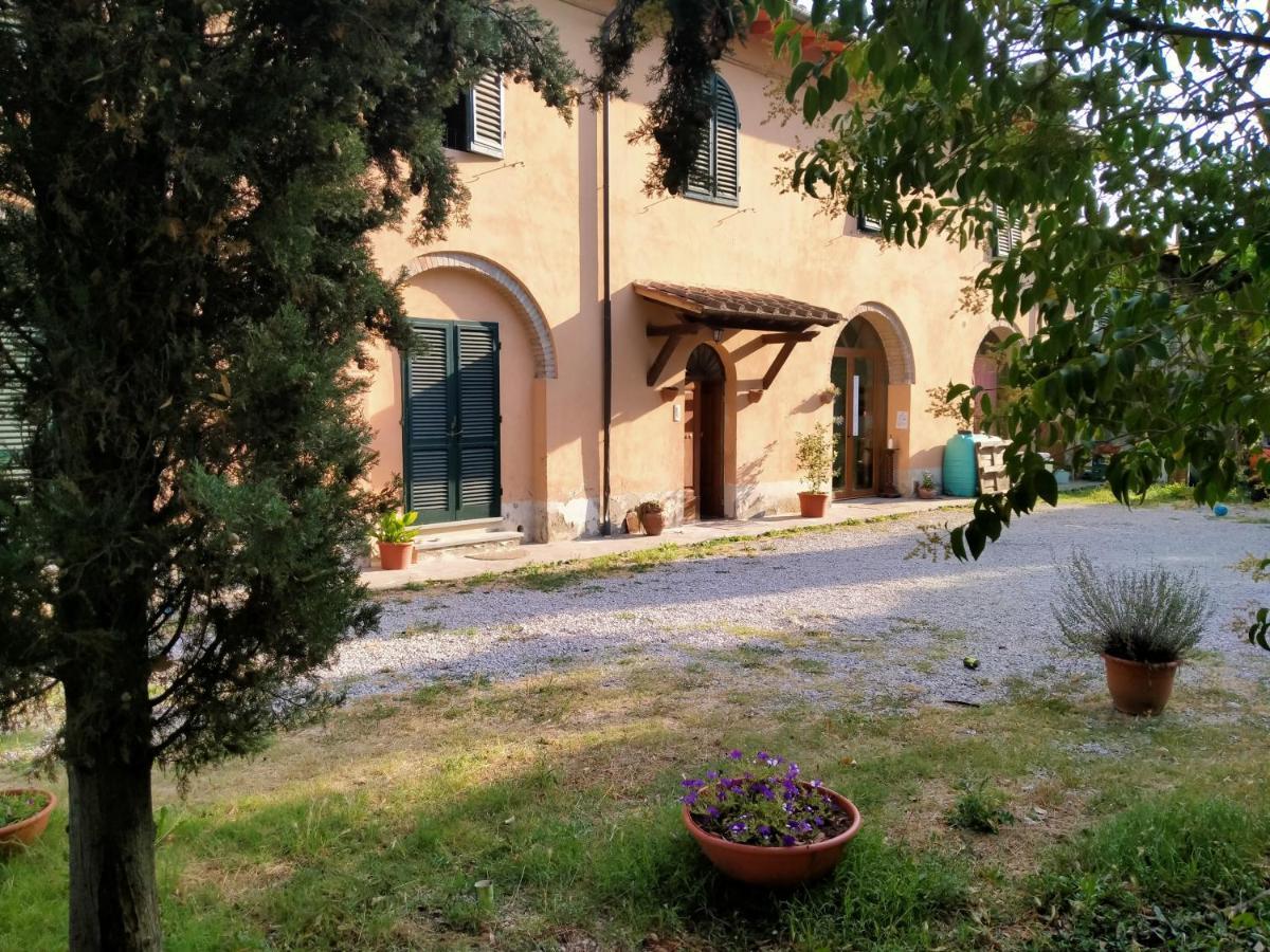 Agriturismo I Due Falcetti Villa Castelfiorentino Dış mekan fotoğraf